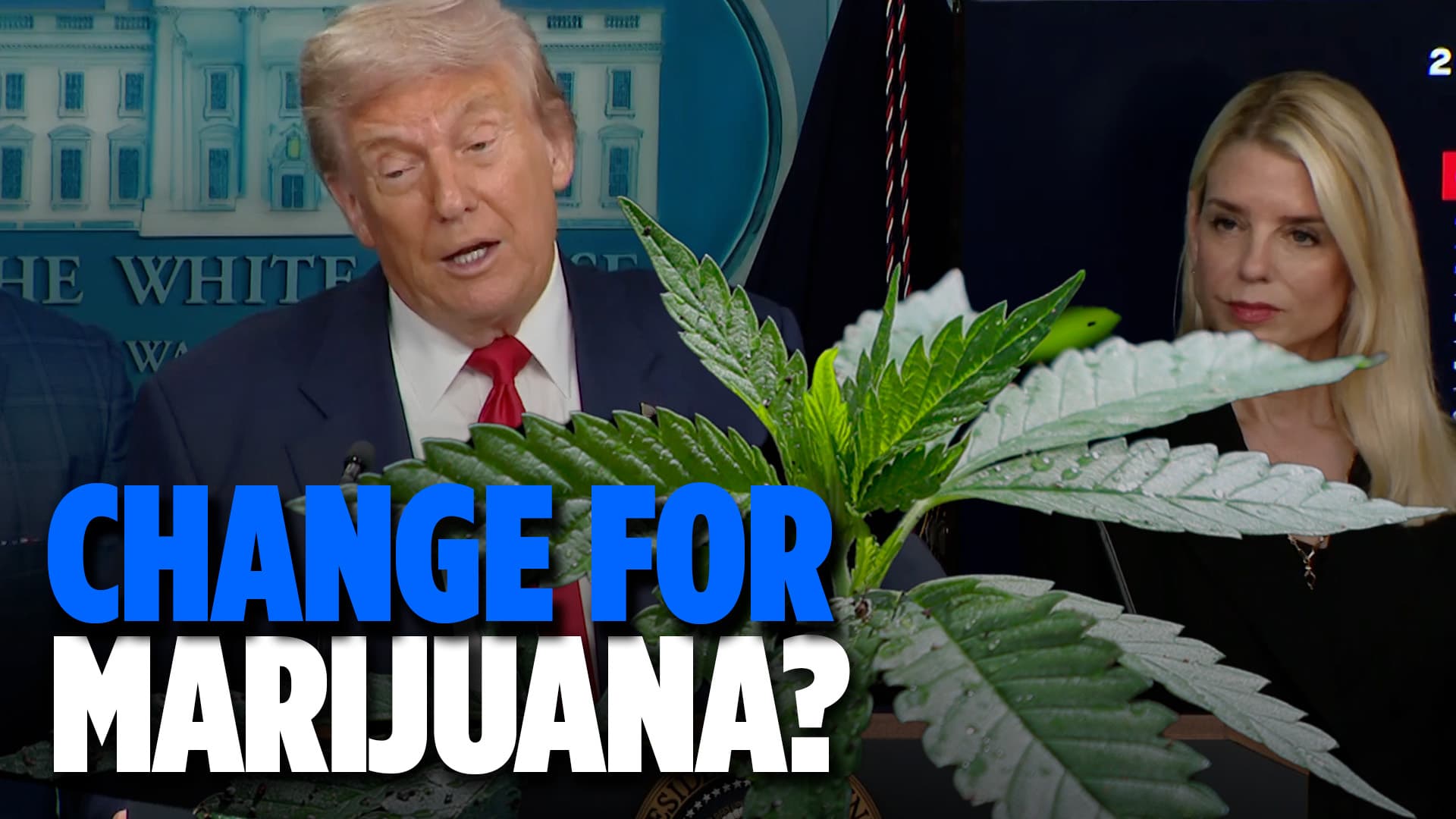 Trump signs executive order reclassifying marijuana to schedule 3
