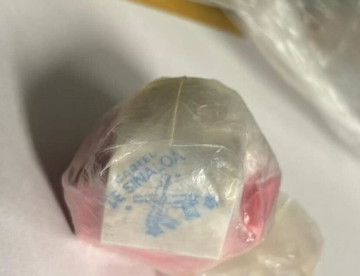 DEA Busts 171 Sinaloa Cartel Members in Major New England Sweep