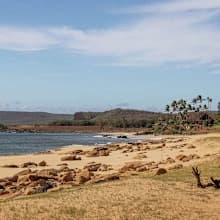 German refugee population declines for first time in 14 years