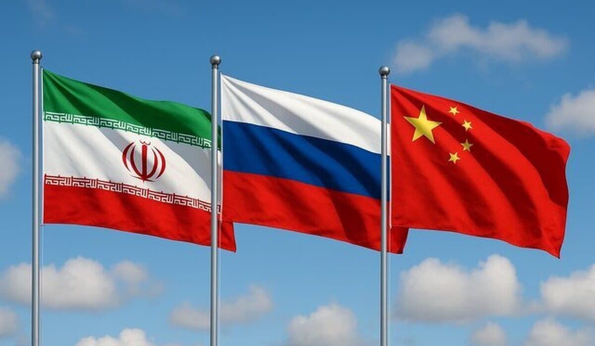 Russian Representative to UNSC Declares SnapBack Decision Null and Void