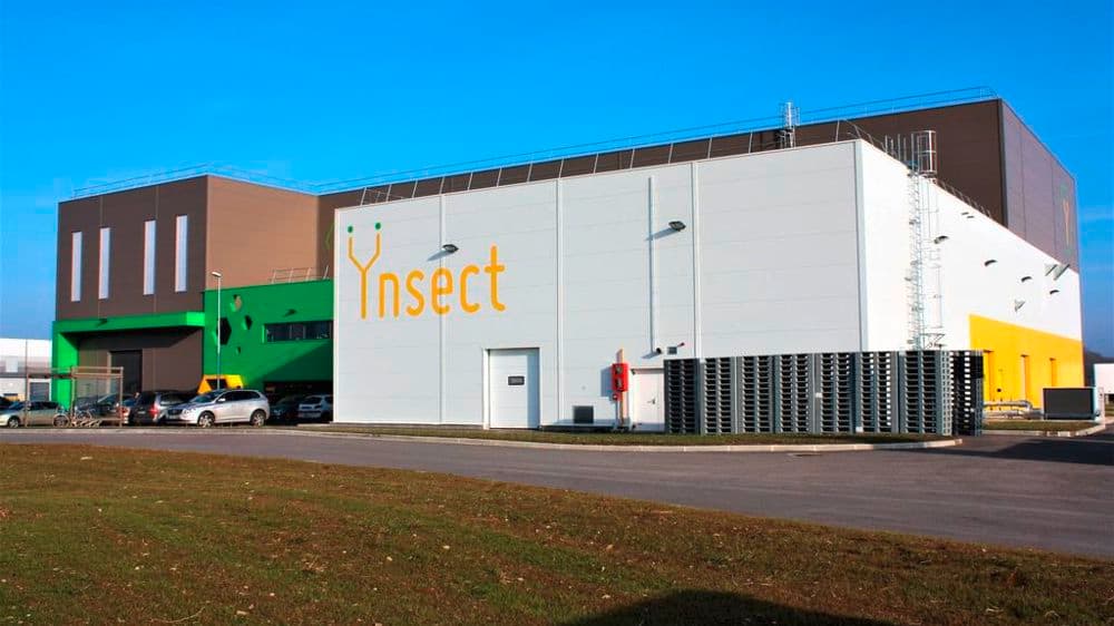 French insect farming company Ynsect liquidated after failing to profit