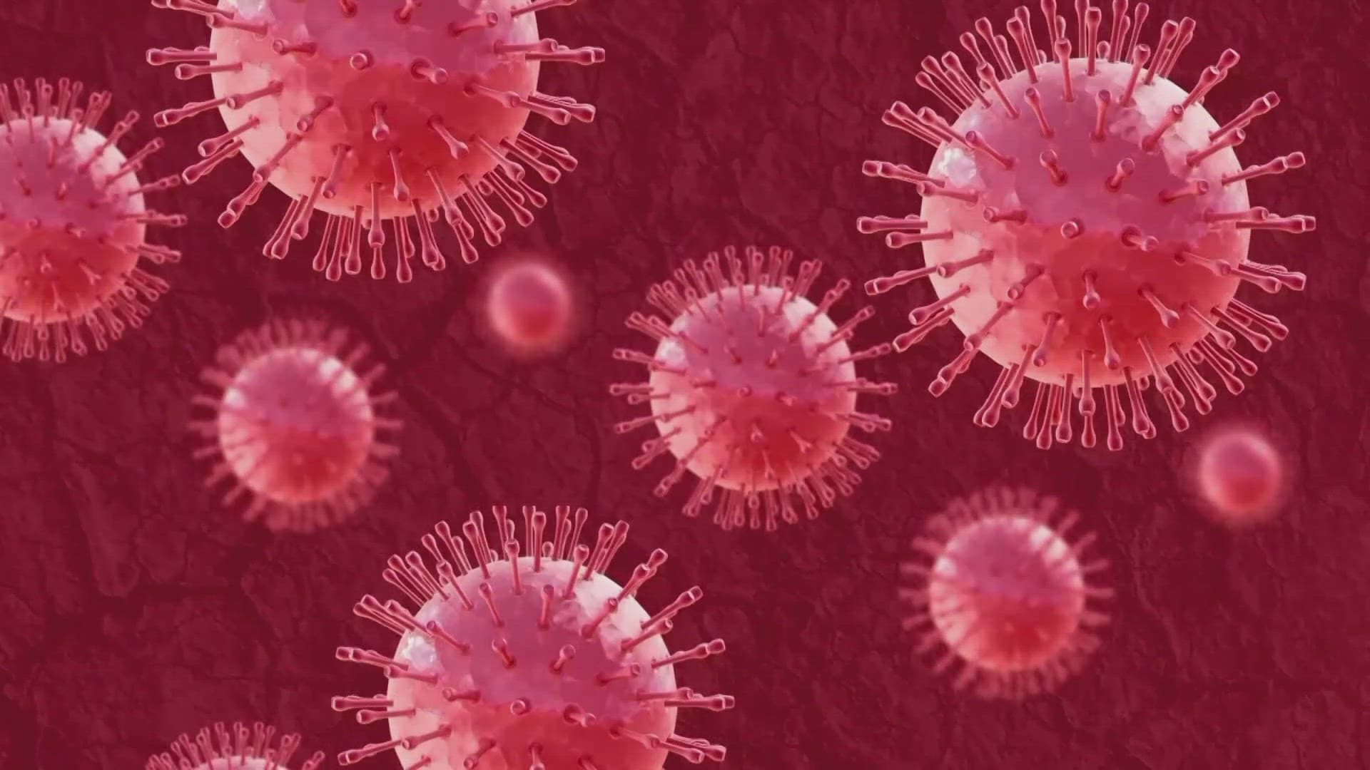 World Health Organization declares autism cannot be caused by vaccines