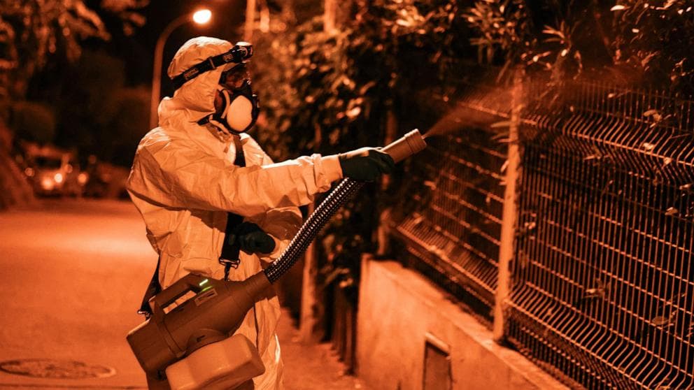 New York reports first locally transmitted case of chikungunya virus