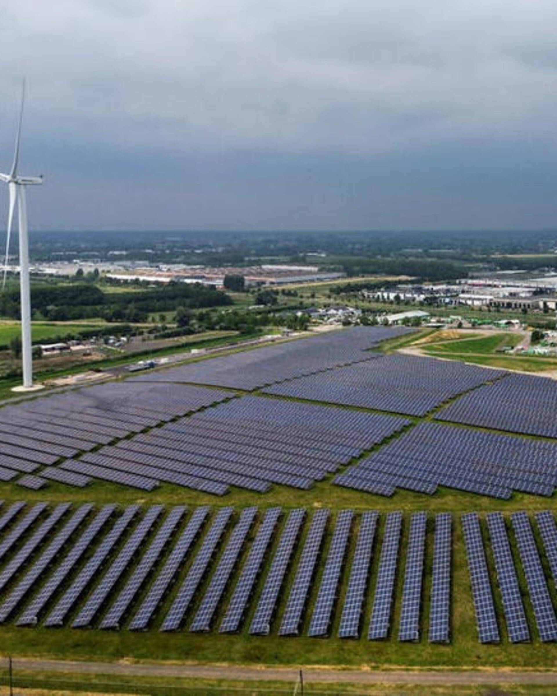 Solar Power Surges to 22% of EU Electricity as Coal Crashes to Historic Low