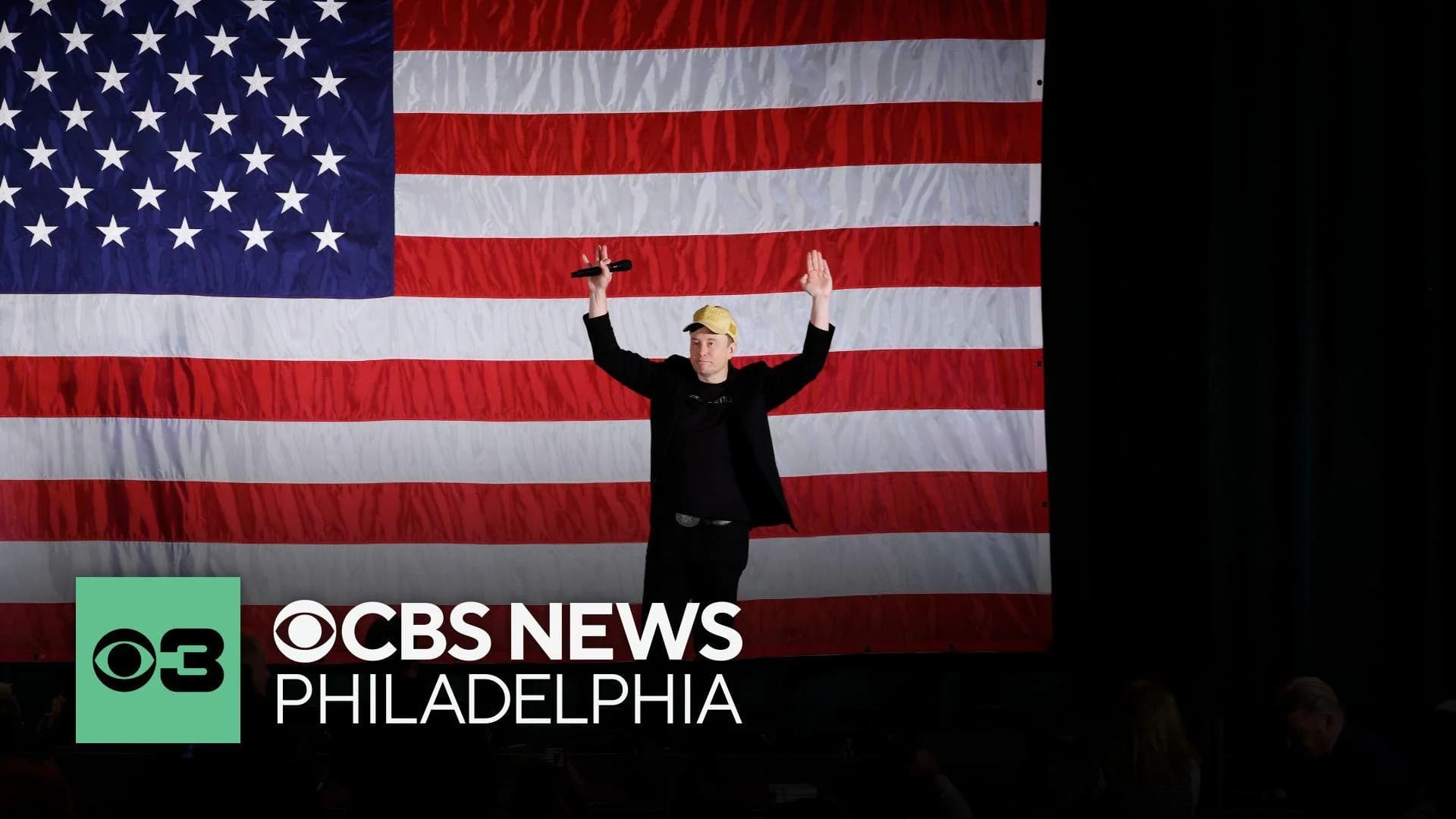 Elon Musk's America Party Threatens Democracy with Corporate Control