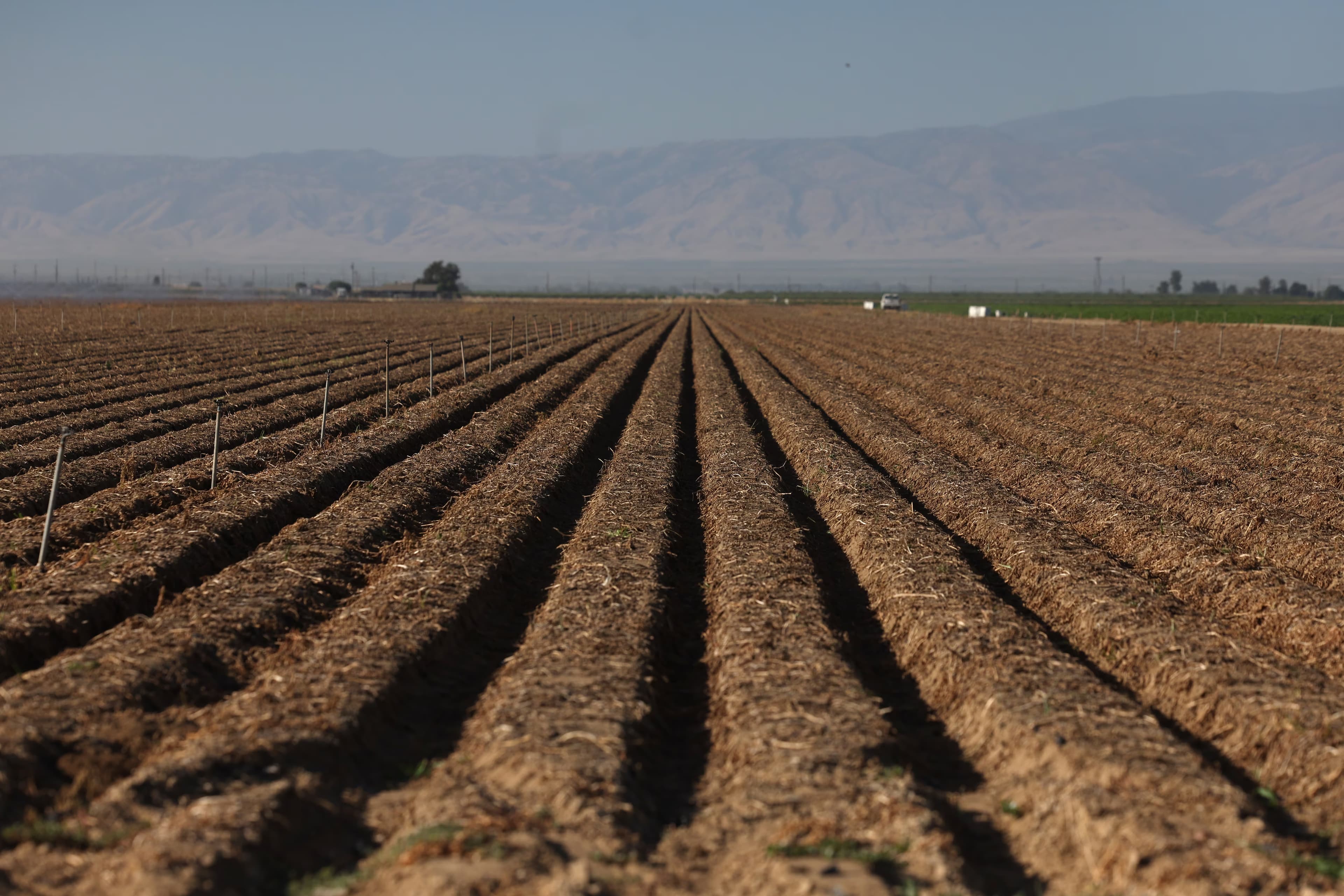 70 Percent of Farm Workers Vanish as ICE Raids Threaten $60 Billion California Harvest