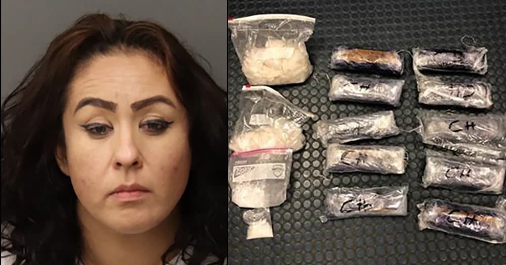 Canadian Mother Arrested by ICE Despite 25 Years of Tax Contributions and Support for Trump’s Deportation Policies