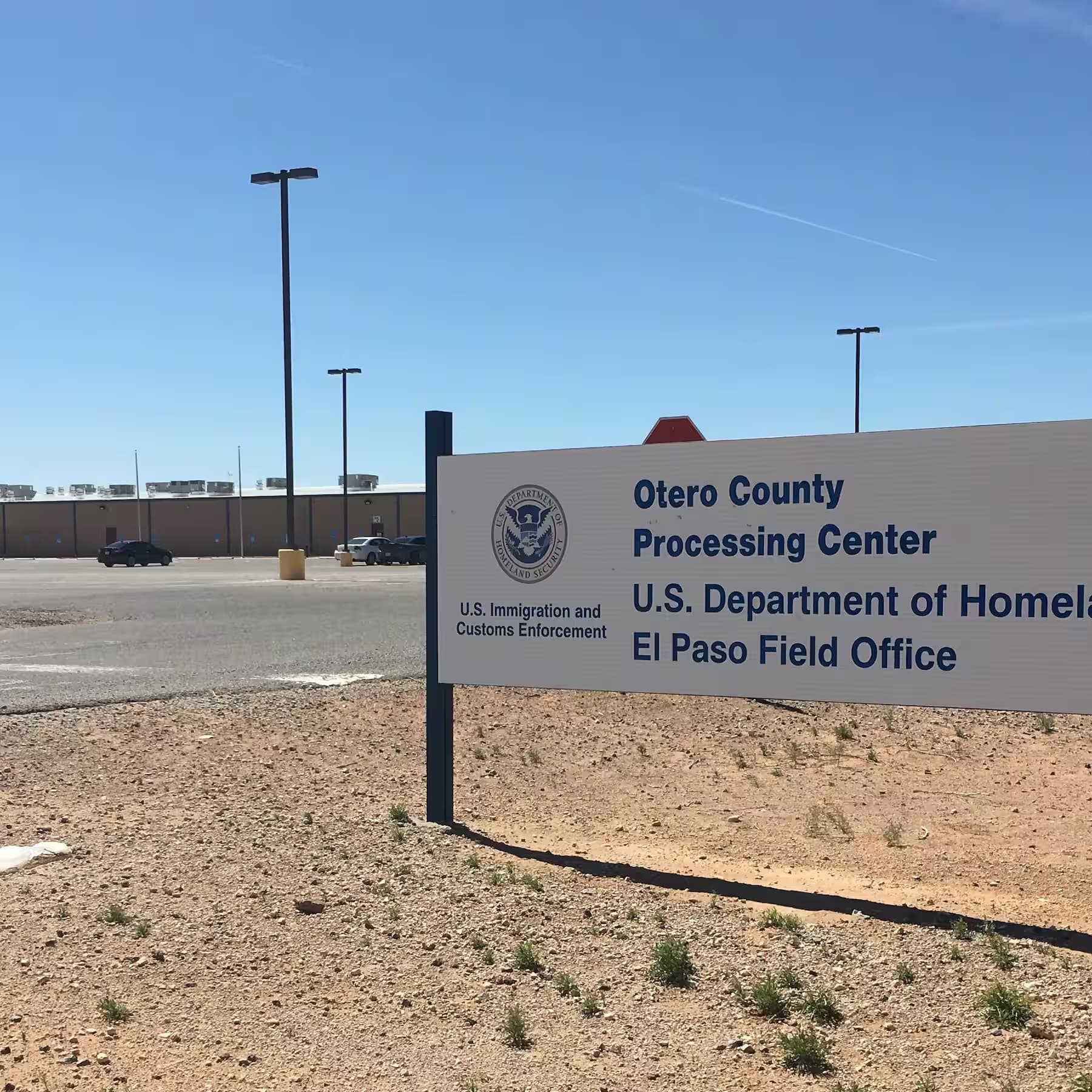 ICE Arrests Canadian Woman at Green Card Interview, Exposing Cruelty of Immigration System