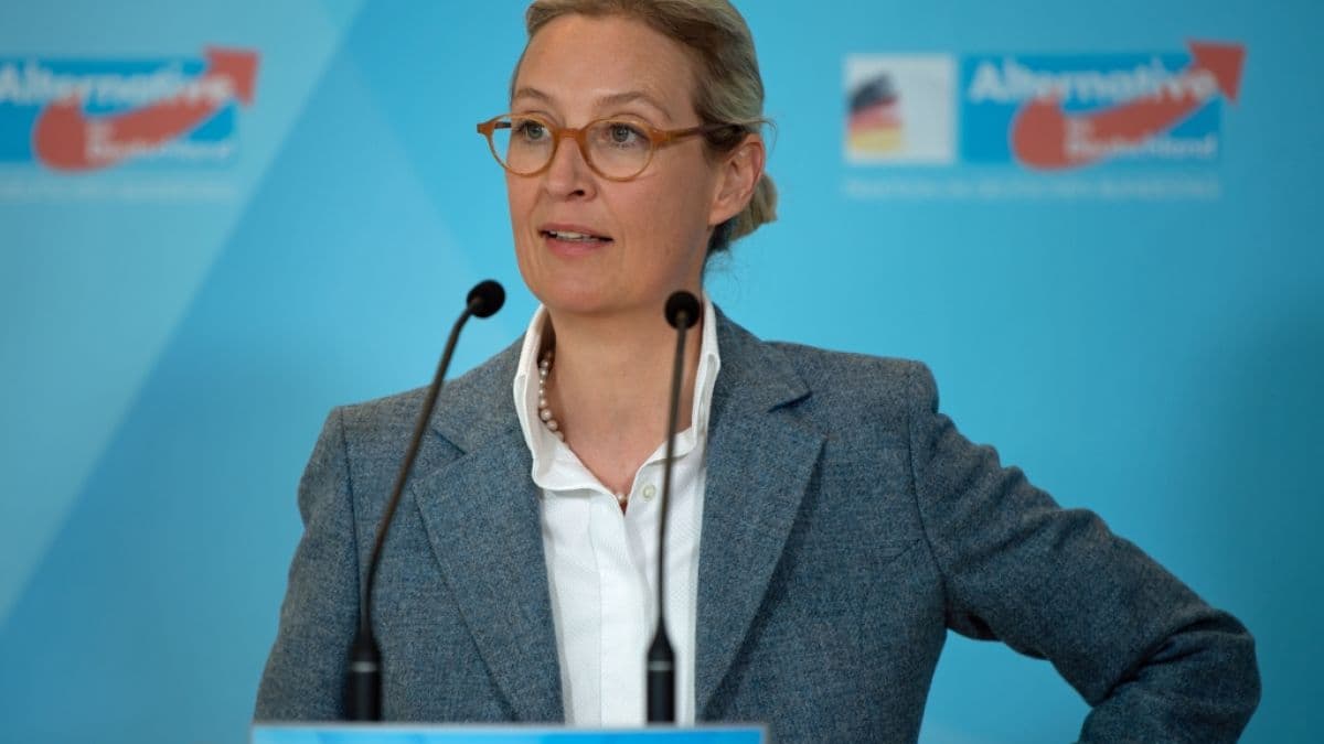 AfD's Dangerous Fantasy of Power Threatens Germany's Democracy
