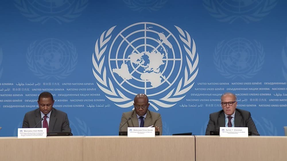 Wealthy Nations Face Reckoning as Asylum System Fails Millions