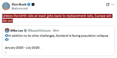 Musk Warns Europe Faces Decline Without Higher Birth Rates