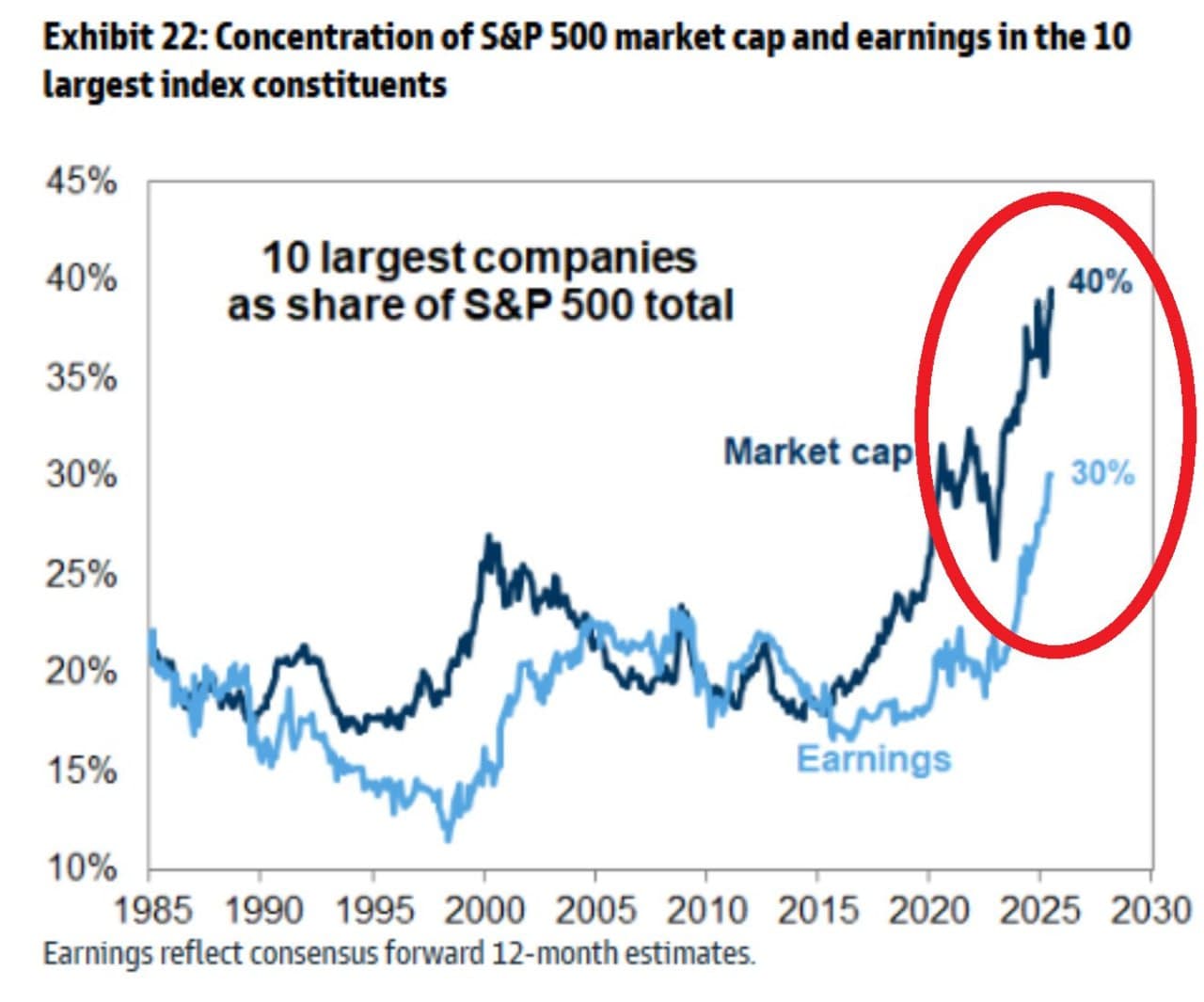 Top 10 Stocks Dominate 40% of S&P 500, Raising Concerns Over Market Bubble
