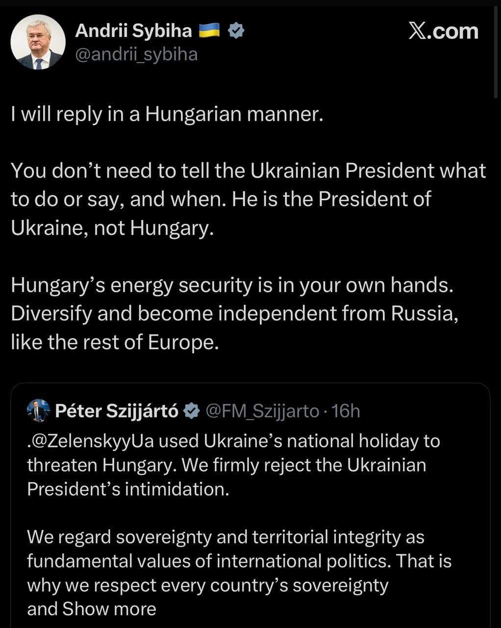 Ukraine's Foreign Minister Urges Hungary to Cut Russian Energy Ties