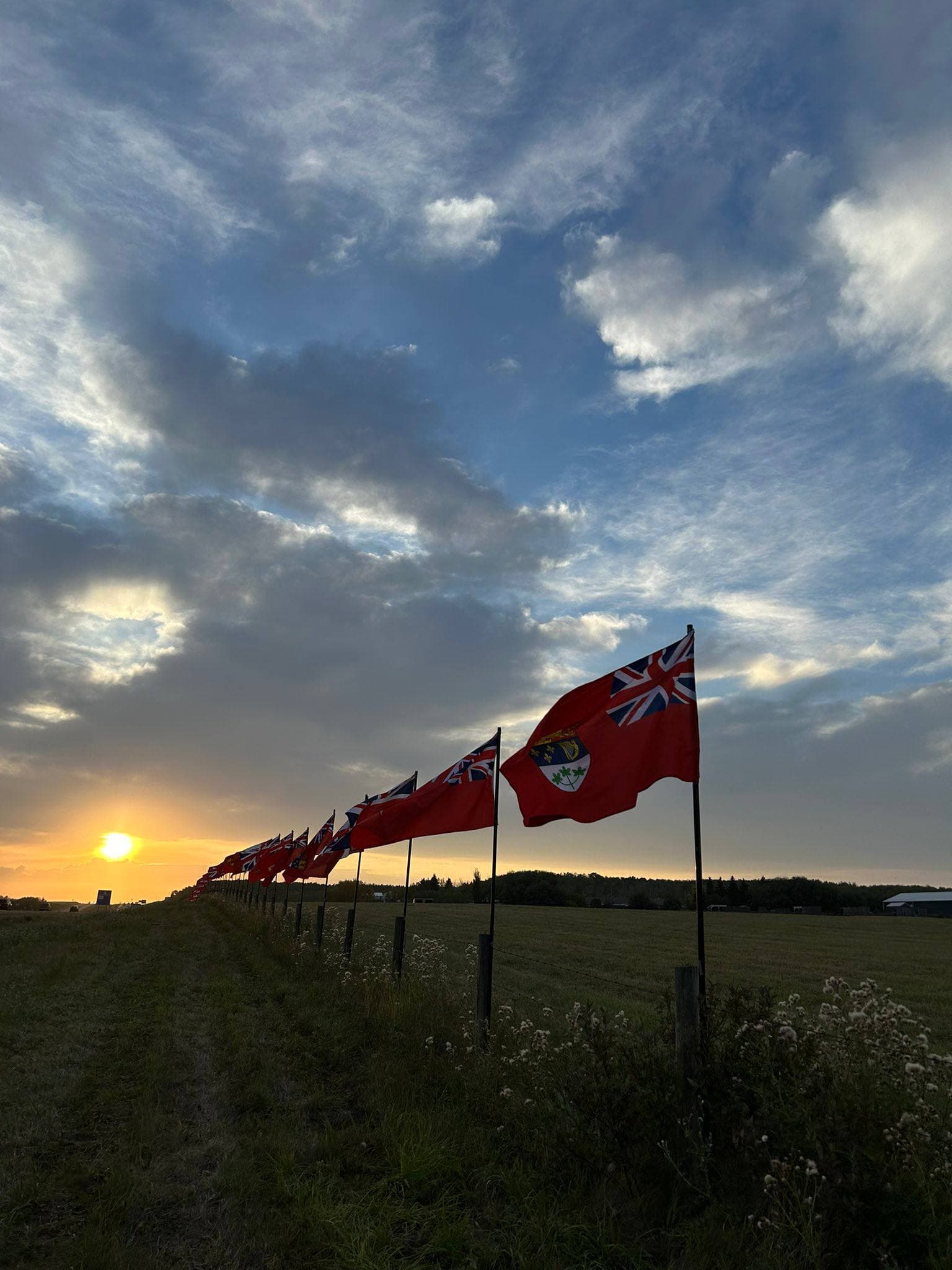 Millions must fly along Highway 11 in Central Alberta