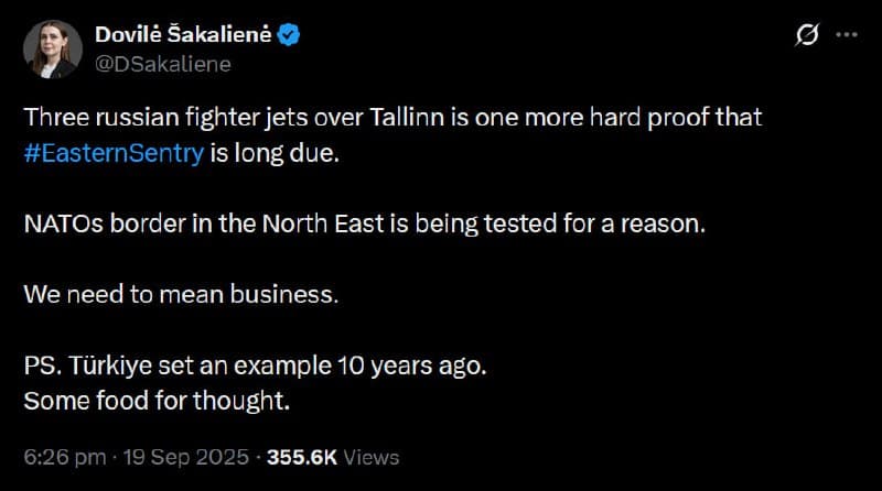 Lithuanian defense minister calls for NATO to shoot down Russian jets