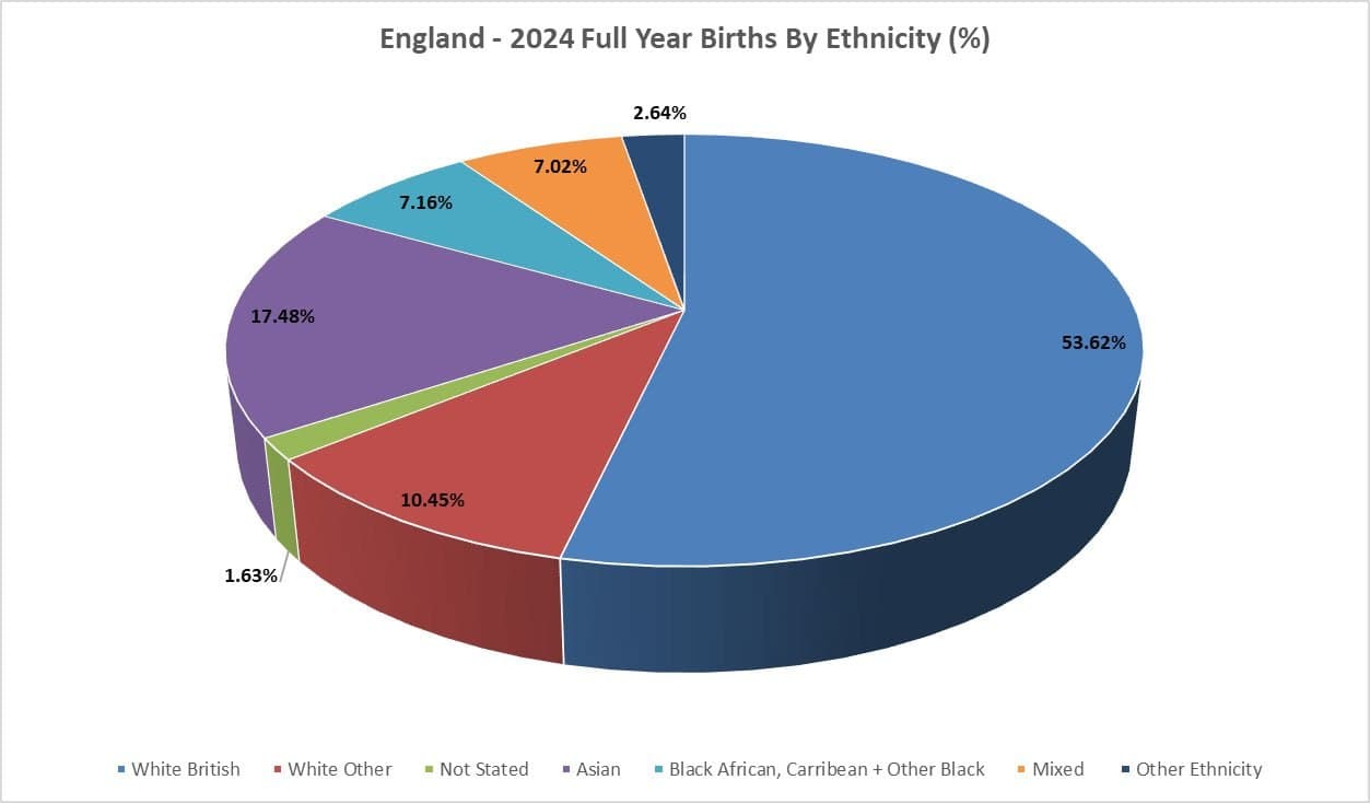 White British births in England fall to 53.62% in 2024, lowest ever recorded