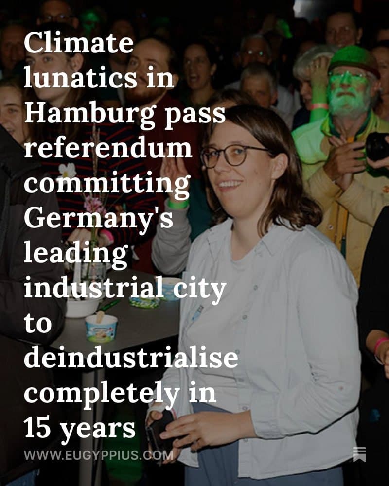 Hamburg commits to carbon neutrality by 2040 in low-turnout referendum