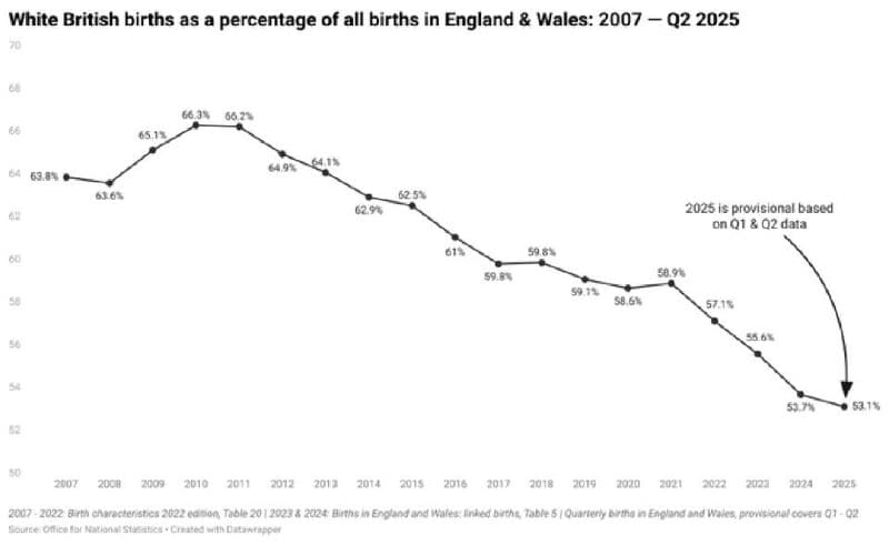 White British births drop to under 310,000 in England as of 2024
