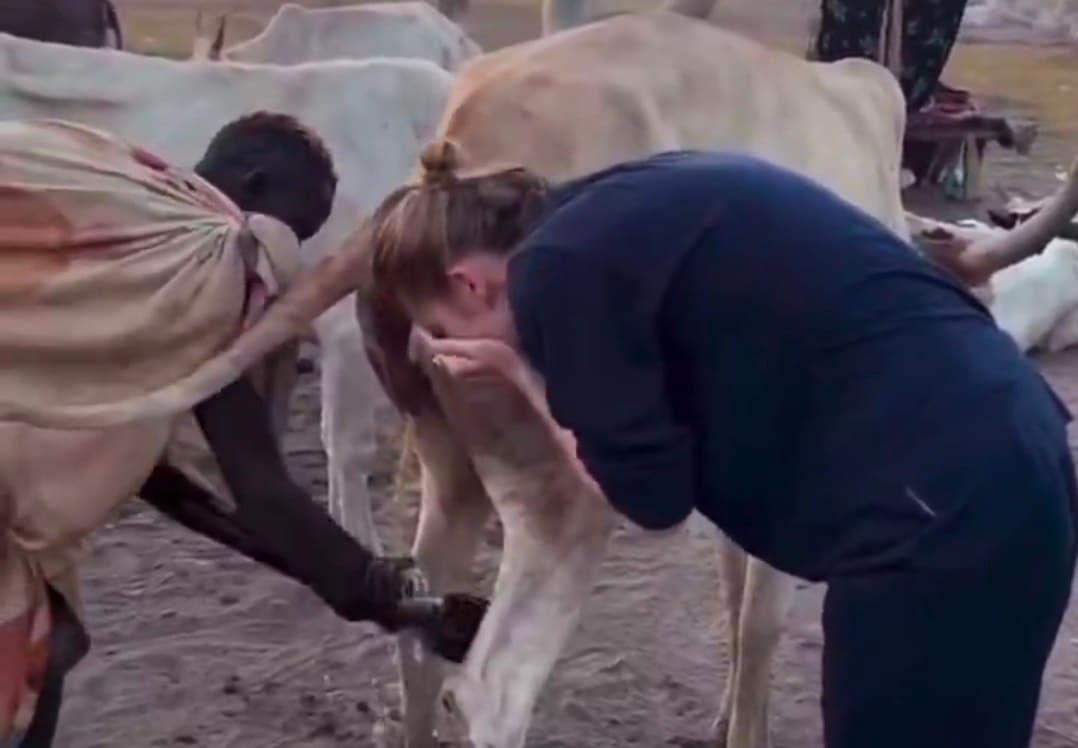 Liberals reportedly begin bathing in cow urine to support Somalians in Minnesota