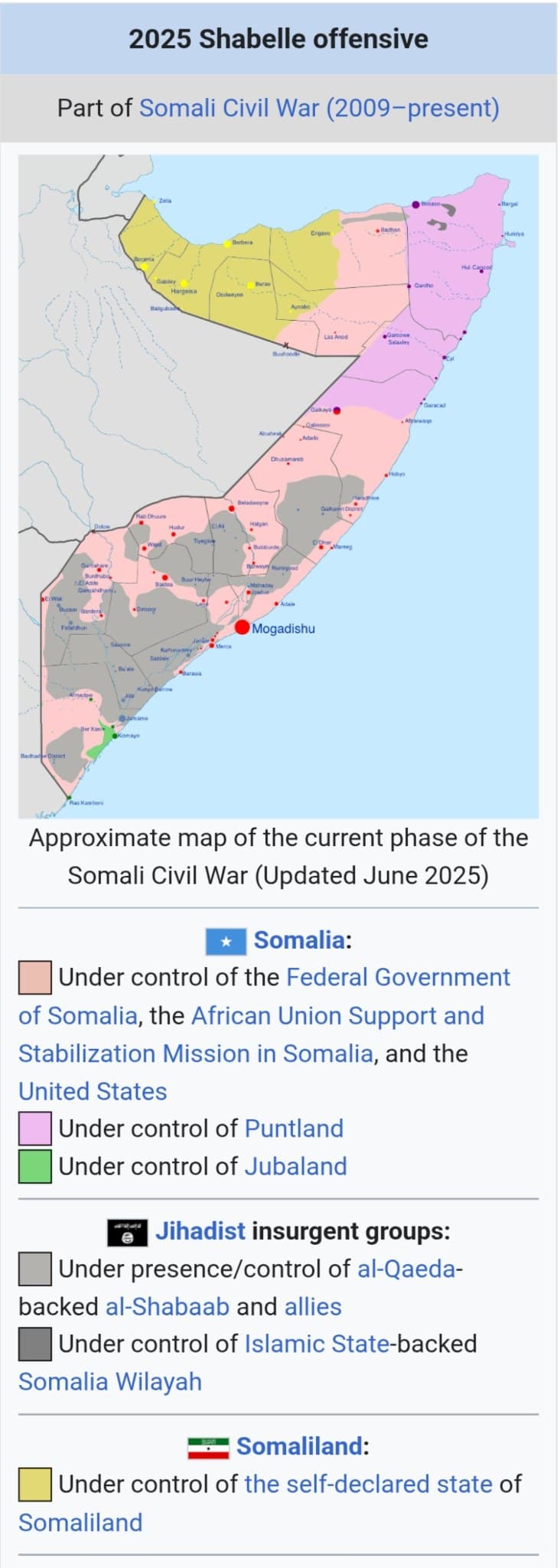 Al-Shabaab Captures Key Area in Somalia's Lower Shabelle After Forces Withdraw
