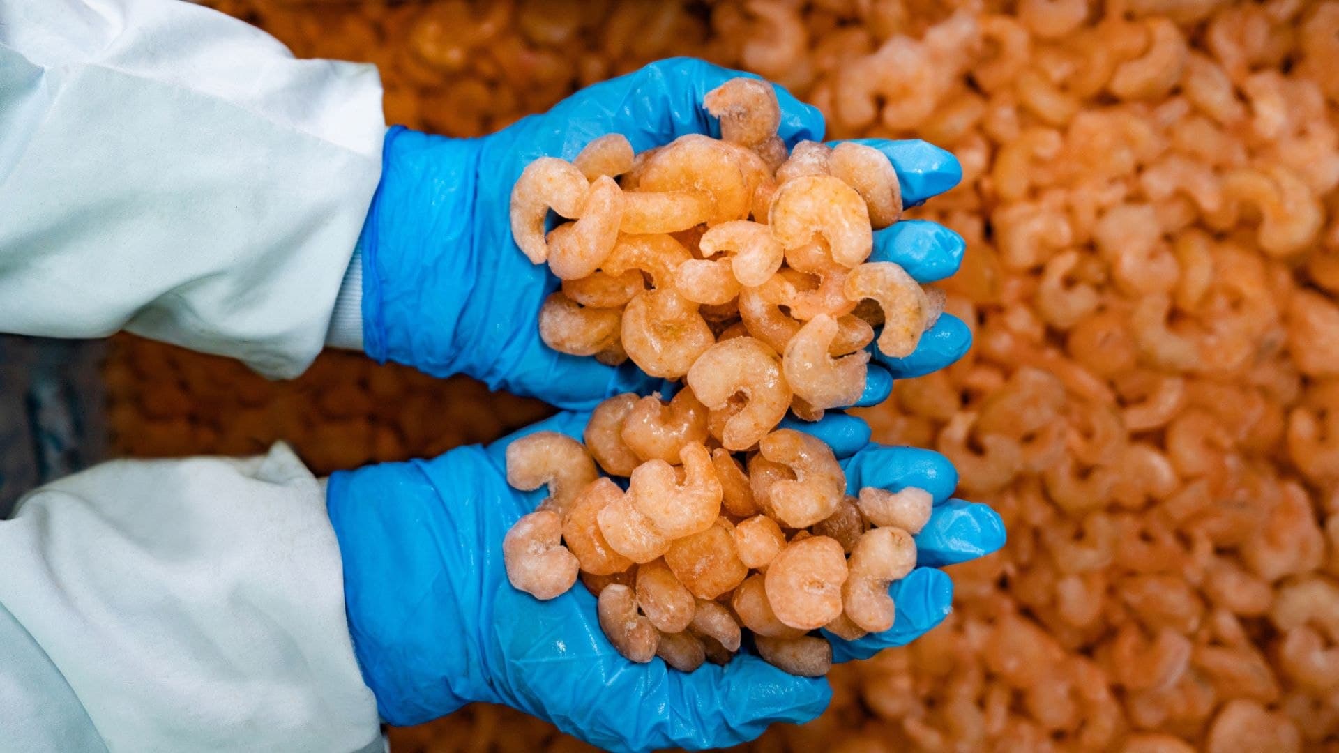 Breaking: FDA Warns of Radioactive Shrimp, Walmart Recalls in 13 States