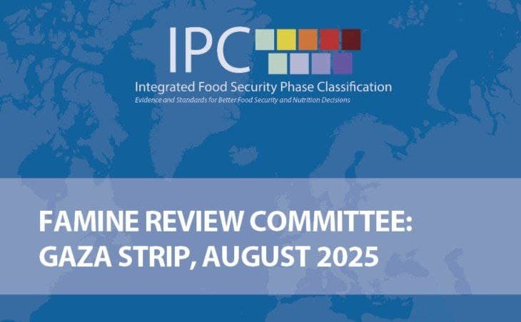 Breaking: IPC Declares Famine in Gaza Despite Low Daily Death Toll
