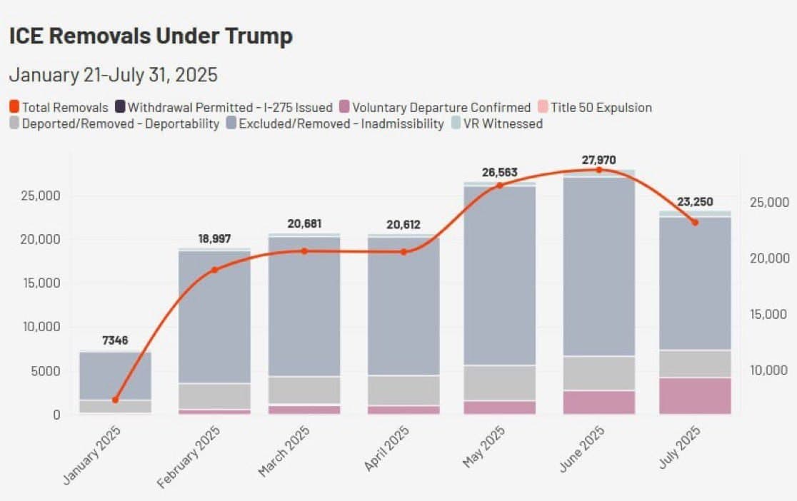 ICE Data Reveals 145,419 Deportations in 2025 as Rates Decline