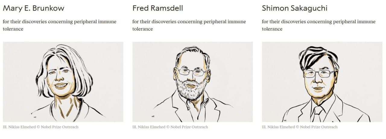 2025 Nobel Prize in Physiology awarded to three scientists for immune tolerance discoveries