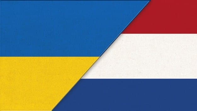 Netherlands announces €90M military aid package for Ukraine's drones