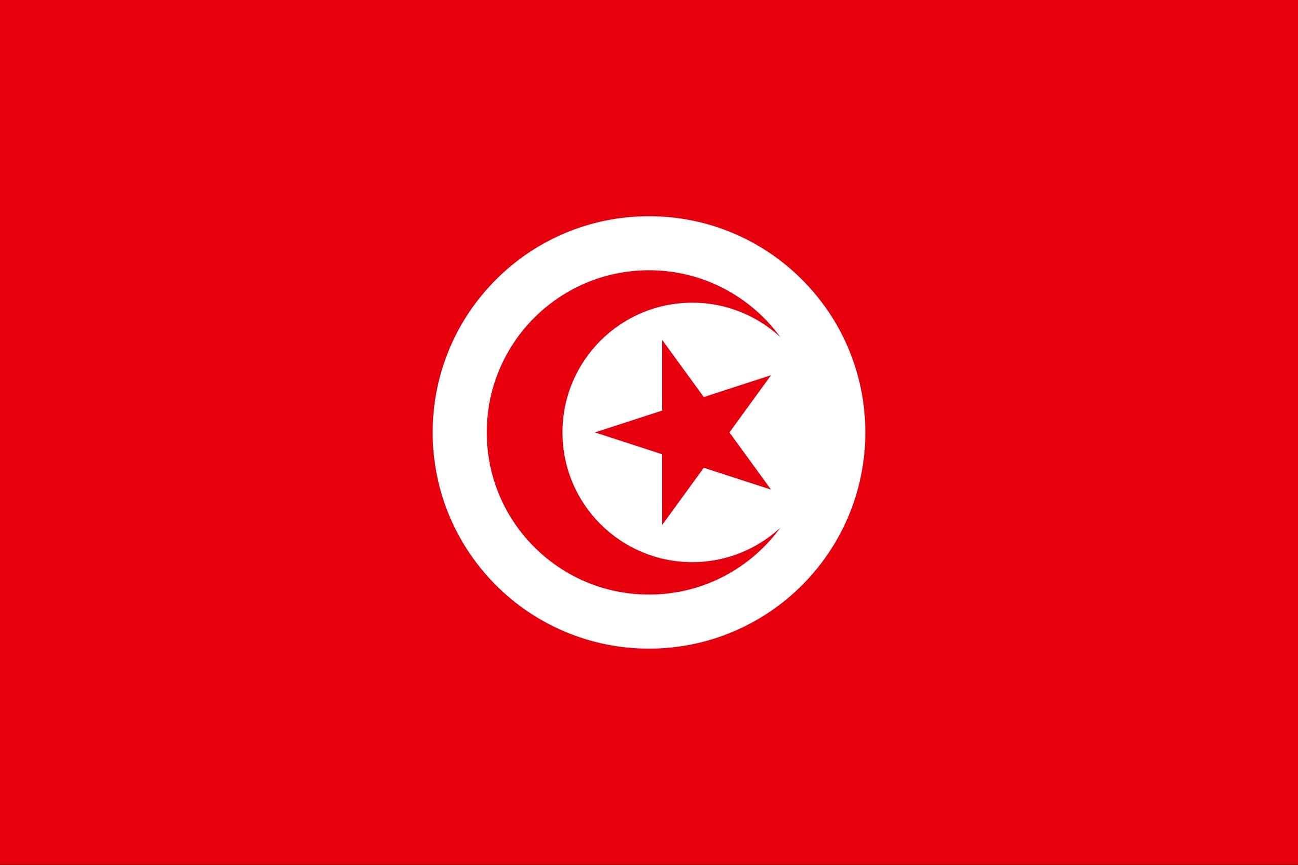 Tunisian court upholds prison sentences of 5 to 45 years for 40 opposition figures