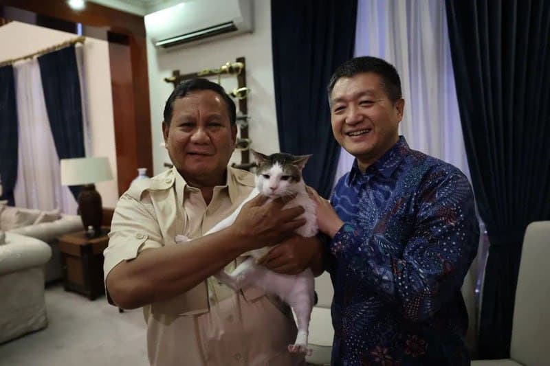 Indonesian president's cat receives state protection amid public attention