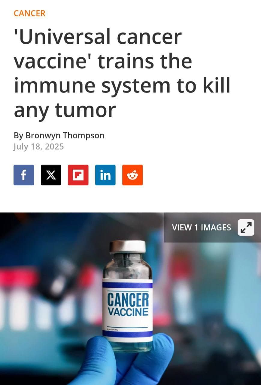 Florida scientists develop universal cancer vaccine showing promise in mice