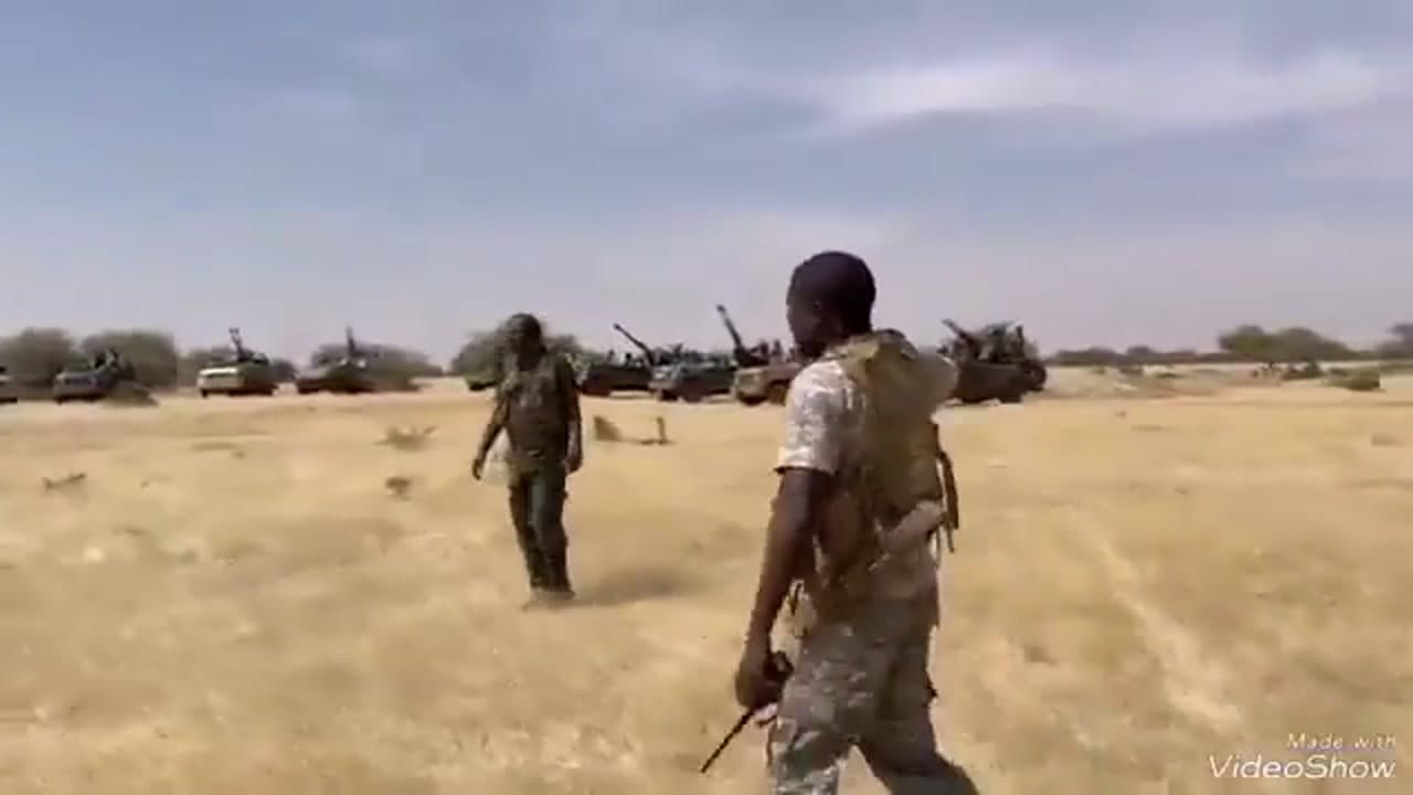 [Video] RSF and Sudanese army strengthen forces in North Kordofan