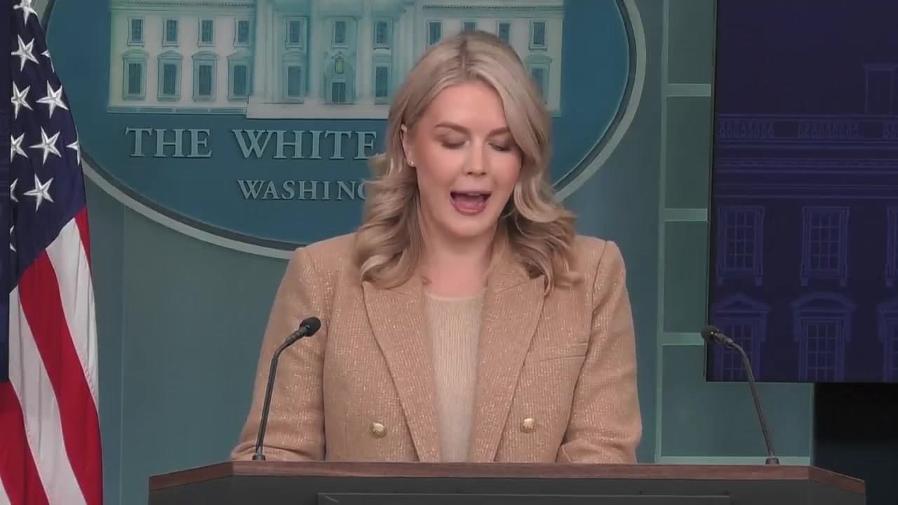 [Video] Trump administration reexamines Afghan imports under Biden for security risks