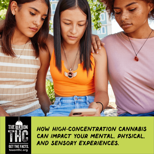 Featured image for: New Study Links High-THC Cannabis to Increased Mental Health Risks New Study Links High-THC Cannabis to Increased Mental Health Risks