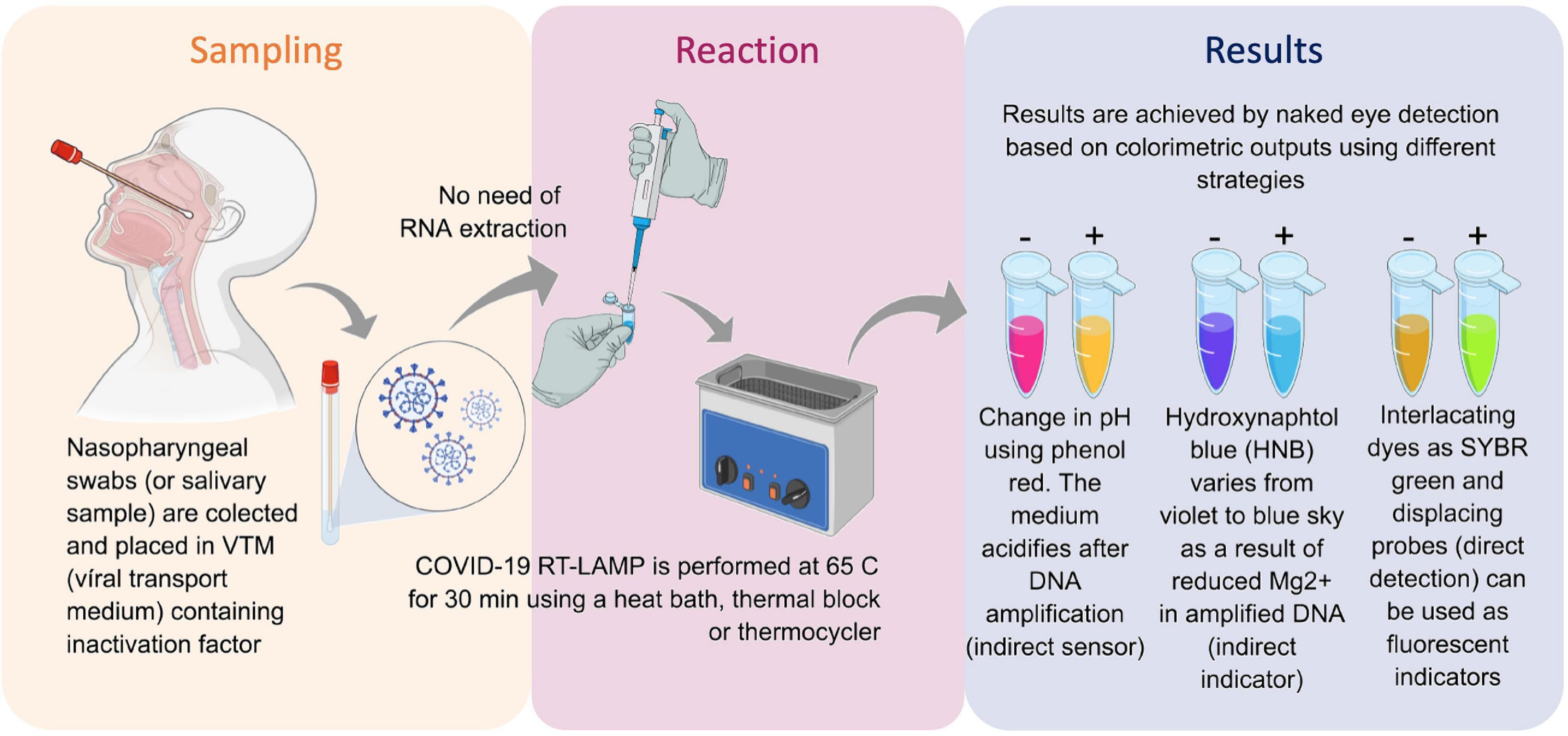 Study finds only one in seven positive PCR tests in Germany indicate COVID infection