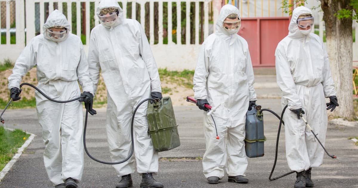 ECDC advises EU health ministers on actions to prevent bird flu pandemic