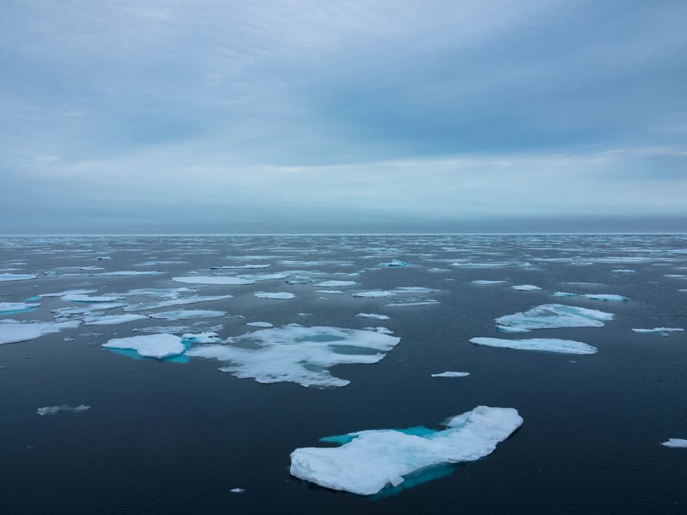 Climate scientists warn Gulf Stream could collapse, risking new ice age