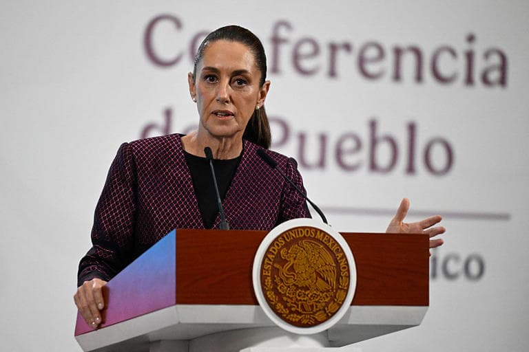 Mexican Senators call for Recall vote against President Sheinbaum