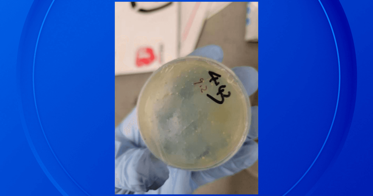 DOJ charges three Chinese nationals at University of Michigan for illegal import of biological materials