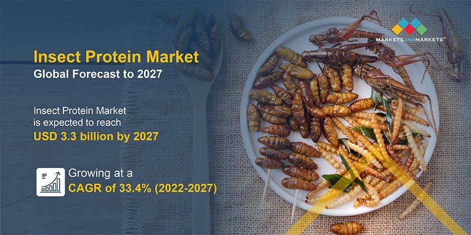 Featured image for: Over 70% of Americans Reject Sustainable Insect Diet While Climate Crisis Rages Over 70% of Americans Reject Sustainable Insect Diet While Climate Crisis Rages