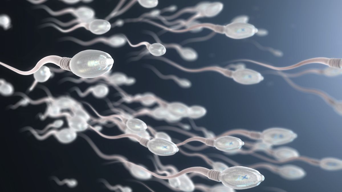 Scientists Unveil Microrobots Using Dead Bull Sperm for Targeted Treatments