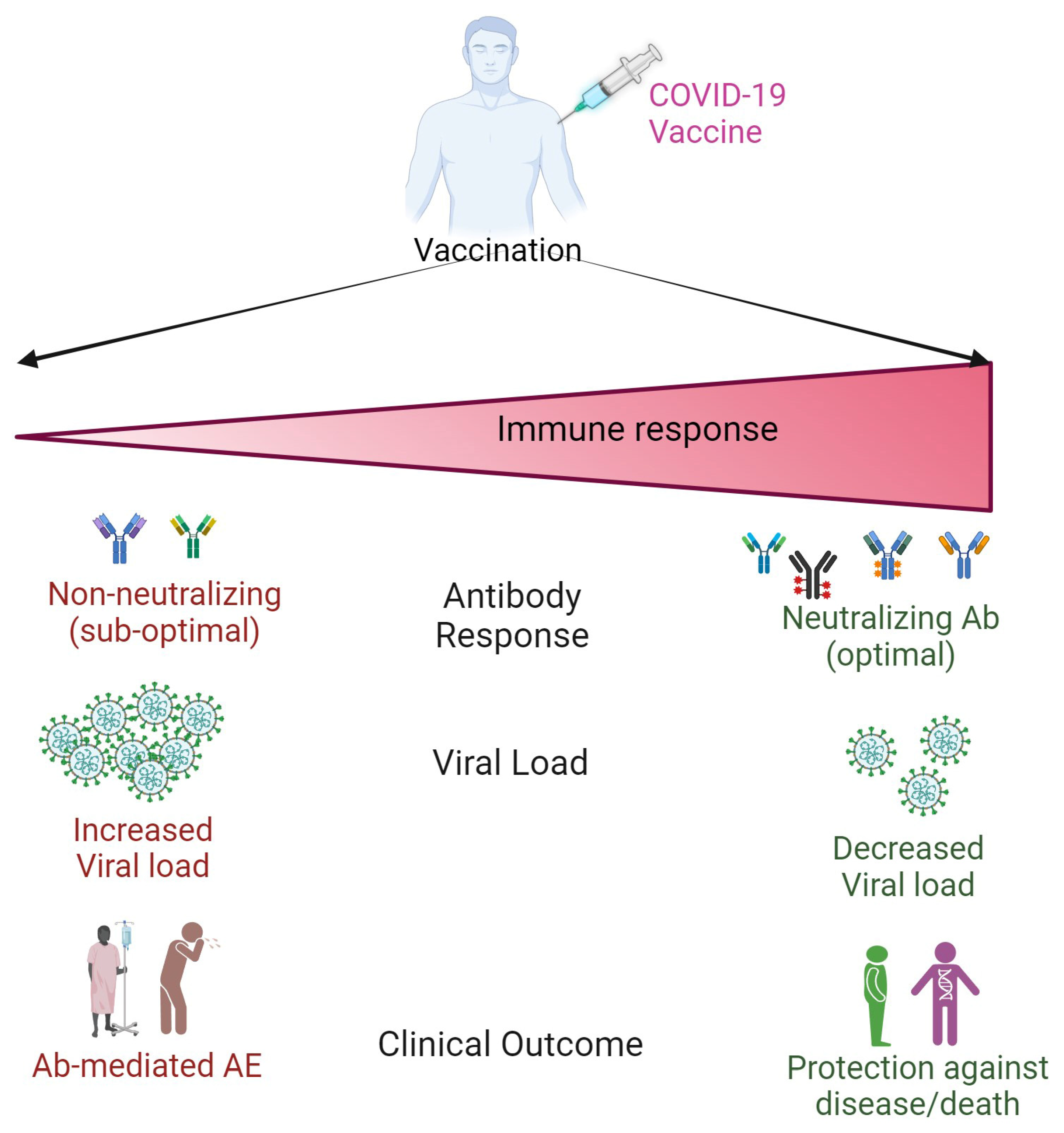 South Korean study finds increased cancer risks post-COVID injection