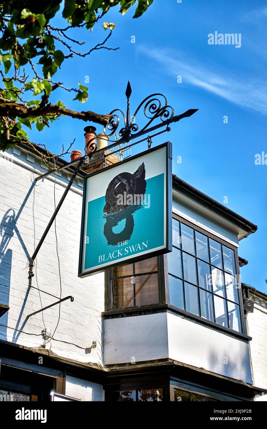 Image for Black swan Reggie exiled from Stratford-upon-Avon for 