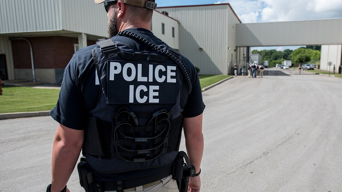 Image for Immigration officers arrest members of 