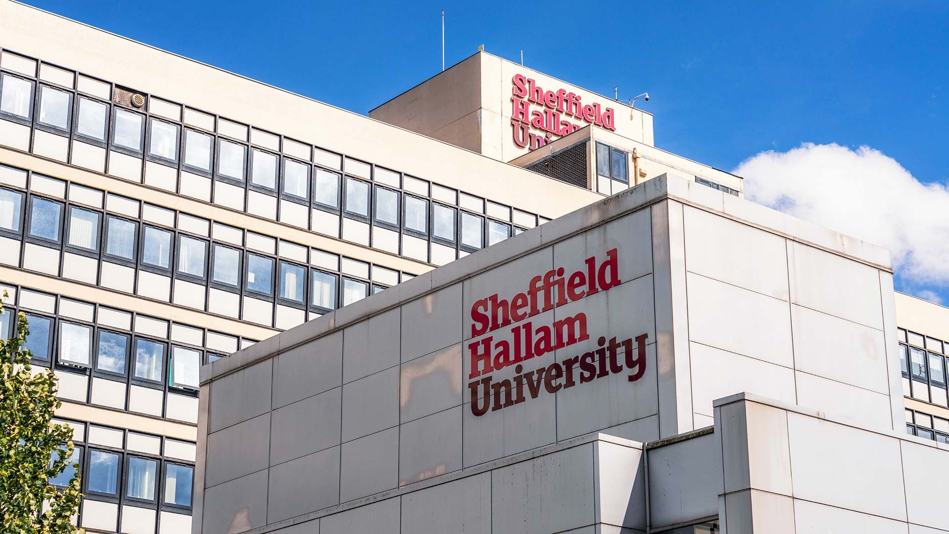 Image for China pressures Sheffield Hallam University to halt Uyghur research