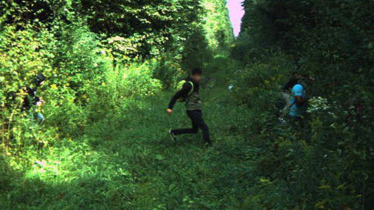 Image for Ivory Coast boosts security on northern border amid refugee surge from Mali