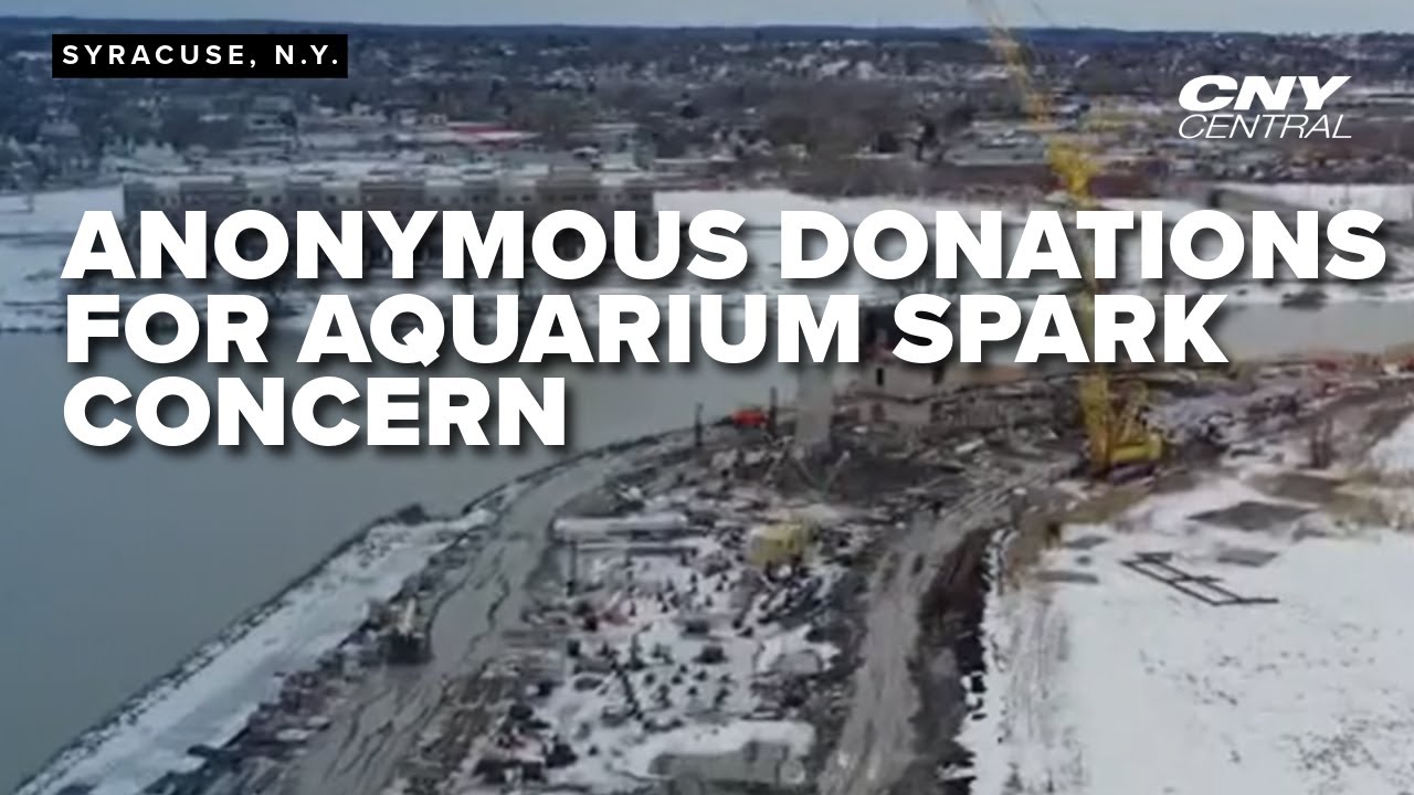 Large anonymous donations raise concerns about WHO's funding sources