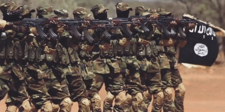 Image for Fears Rise as Al-Shabab Strengthens: Mogadishu's Stability Under Threat Amid Political Turmoil