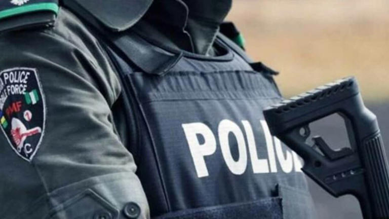Lebanese Clan Member Receives Probation for Brutal Attack on Police Officer, Sparks Outrage